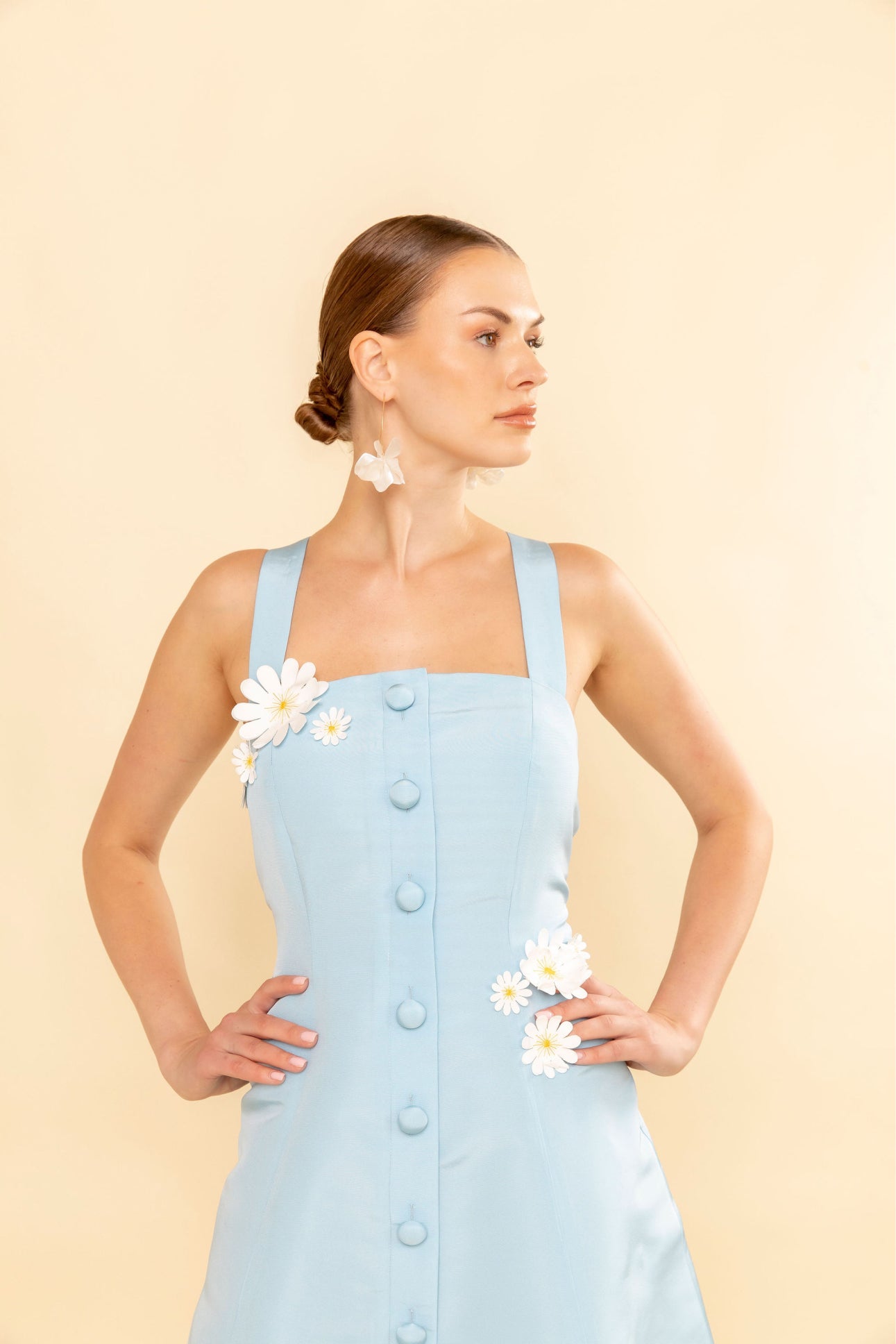 The Daisy Dress – Jumelle Collection